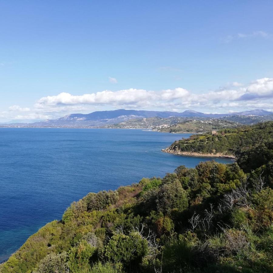 Panoramic Apartments In Villa In Center "The Beach And The Cliff" 1 Agropoli Exterior photo